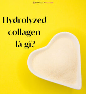 Hydrolyzed collagen là gì? Tác dụng của collagen thủy phân với da và cơ thể