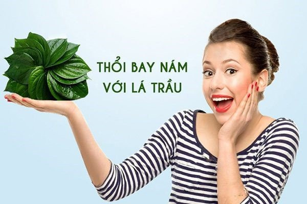 Lá trầu không trị nám