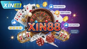 review-xin88